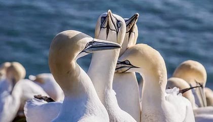 开云登录入口地址全攻略：轻松开启时尚新世界